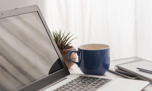 arrangement-with-laptop-plant