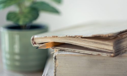 A stack of old books and a vase of dried flowers on a blurred background.