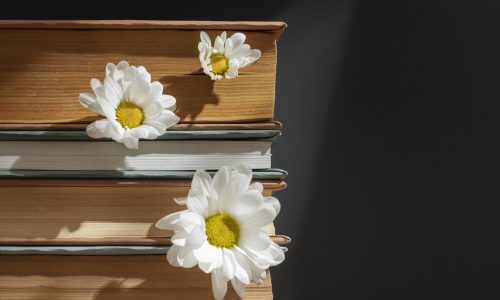 creative-composition-with-books-flower