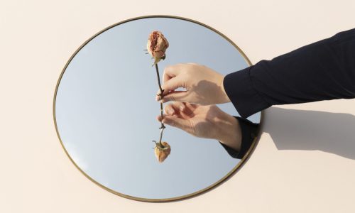Dried pink rose in a the middle of a tray