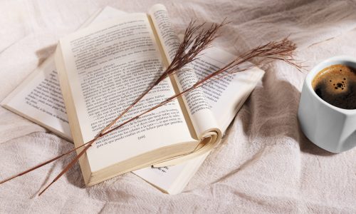 high-angle-open-books-teacup