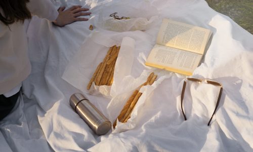 high-angle-picnic-with-book-snacks