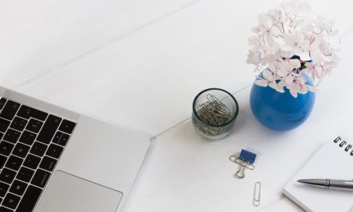 office-stuff-potted-flowers-table