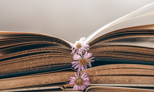 Open old books and flowers stacked, close-up, study and reading concept.