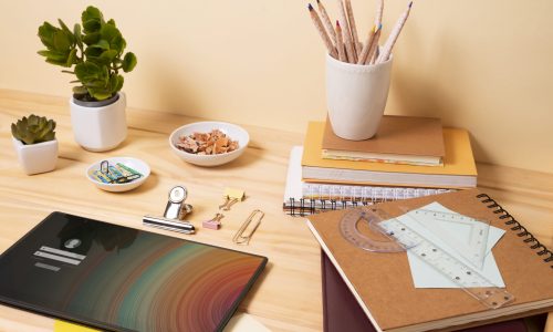 public-examination-preparation-concept