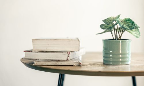 A stack of books and a houseplant in a pot on a blurred background in the interior of the room close-up.