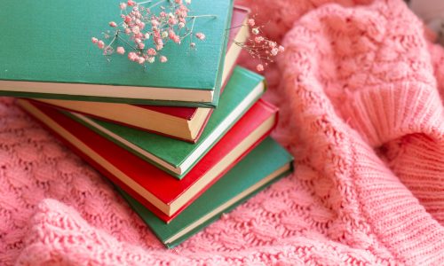 A stack of red and green books with dry flowers on a pink warm knitted sweater background