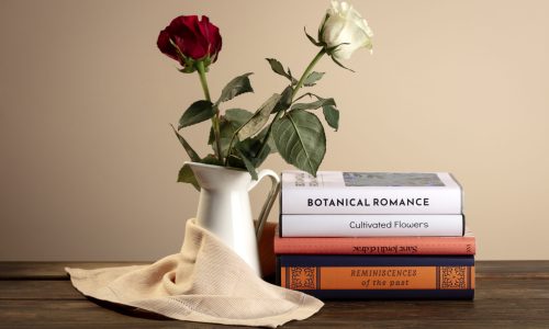 still-life-sant-jordi-day-books-roses