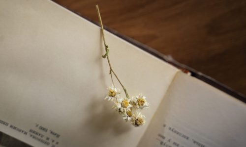 top-view-book-flowers-arrangement