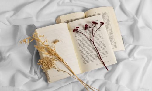 top-view-books-with-flowers-arrangement